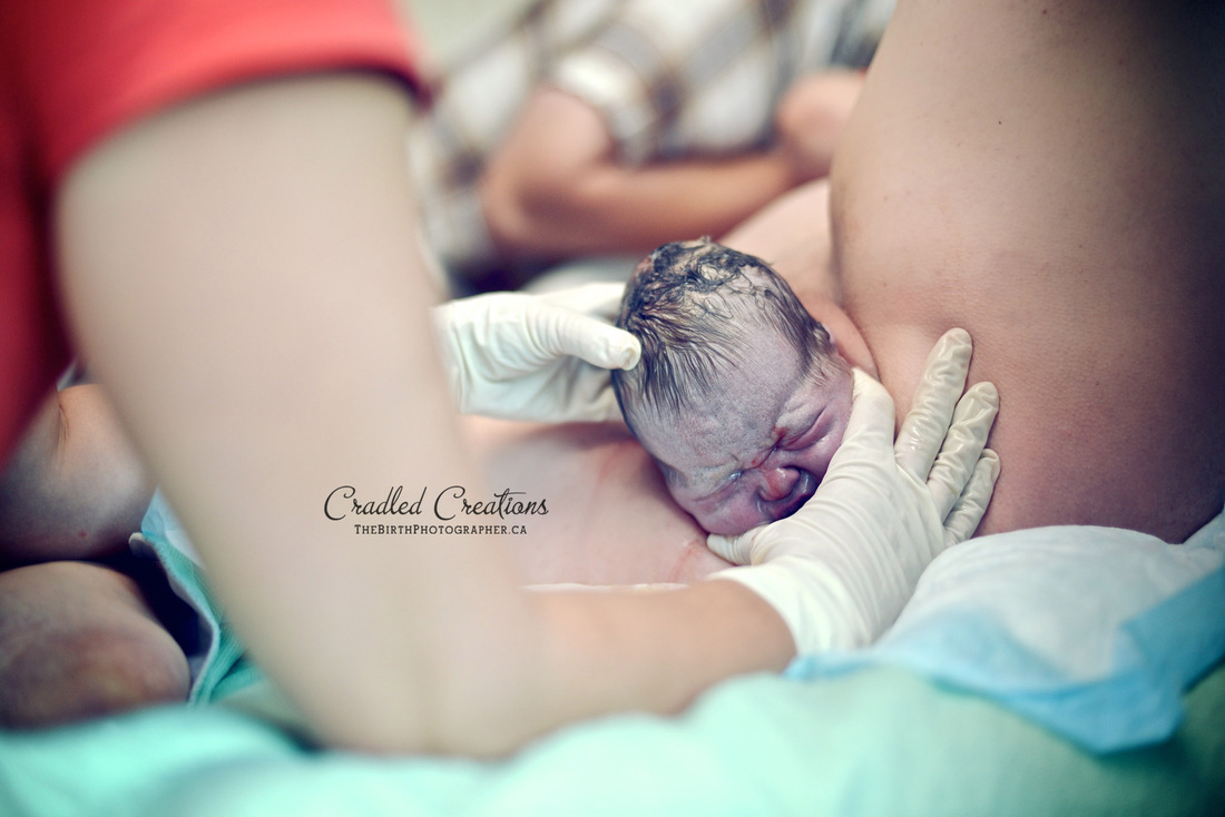1100px x 734px - Cradled Creations - The Birth Photographer